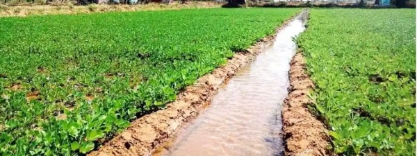 जिल्ह्यात शेतकऱ्यांना सिंचनासाठी मनाई
