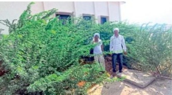 गाडगेबाबांच्या स्मृती जपत स्वच्छतेचा वसा