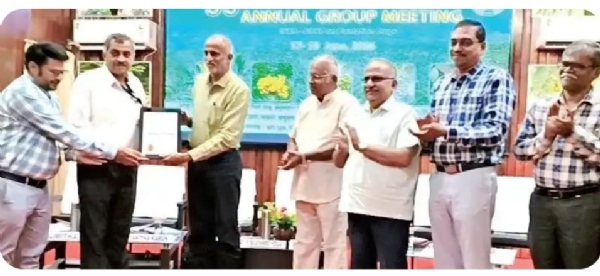 सर्वोत्कृष्ट संशोधन केंद्राचा पुरस्कार स्वीकारताना भाट्ये नारळ संशोधन केंद्राचे अधिकारी किरण मालशे