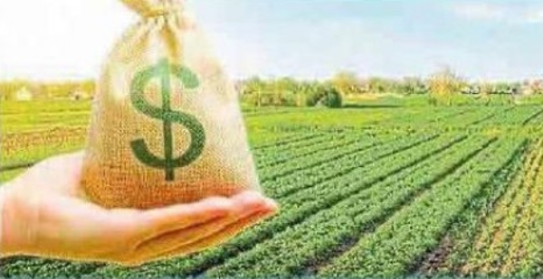 कर्जमाफीसाठी आधार व अॅग्रीस्टॅक आयडी अनिवार्य बँका व सेवा सहकारी संस्थांकडे माहिती सादर करण्याचे निर्देश