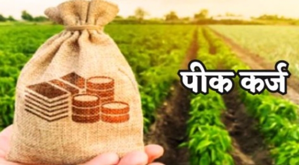 खरिपाचे पीककर्ज वितरण रखडले सहा खासगी बँकांचा शेतकऱ्यांना ठेंगा, एकाही शेतकऱ्याला कर्ज नाही