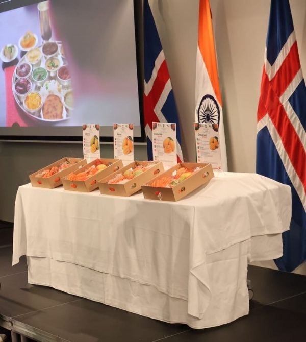 Indian Embassy PEDA organize mango promotion event Iceland first time