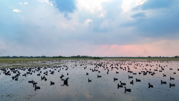 Bird census concludes with Bird census concludes with