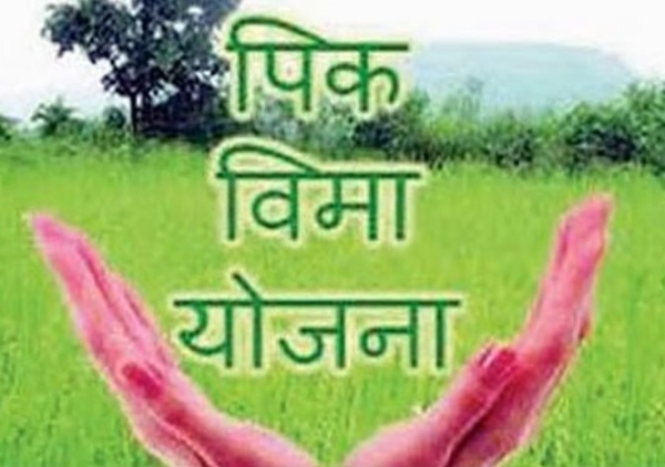 फळपीक विम्यापासून शेतकरी वंचित राहणार शासन निर्णय विलंबाने प्रसिद्ध फळपीक विम्यापासून शेतकरी वंचित राहणार शासन निर्णय विलंबाने प्रसिद्ध