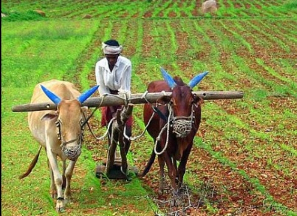 जिल्ह्यात पावणेतीन लाख थकबाकीदार शेतकरी