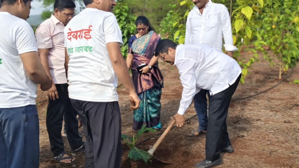 बोटॅनिकल गार्डन वृक्षारोपण