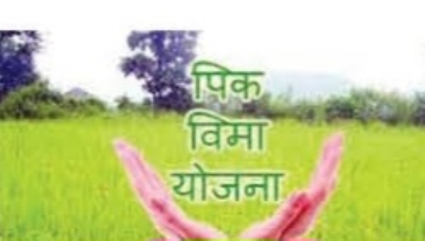 पीक विमा