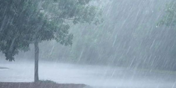 सुखद वार्ता - मान्सून महाराष्ट्राच्या वेशीवर; दक्षिण कोकणासह संपूर्ण गोवा व्यापला