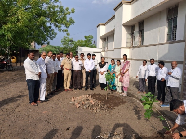 जागतिक पर्यावरण दिनानिमित्त पाथरी न्यायालय परिसरात वृक्षारोपण