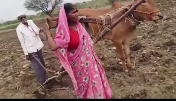 विदारक चित्र
