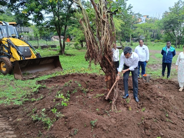 कोल्हापूर विमानतळ येथील वृक्ष पुनर्रोपण