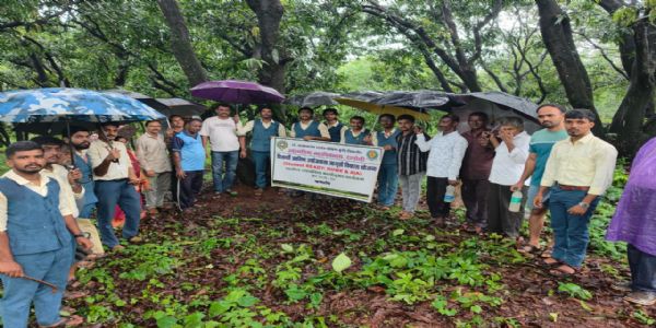 रत्नागिरी : कसोपमध्ये कृषी दिनानिमित्त काळीमिरी लागवड