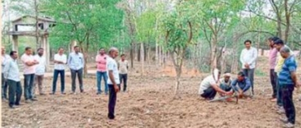 लोकसहभागातून अमडापूर स्मशानभूमीचा कायापालट लोकसहभागातून अमडापूर स्मशानभूमीचा कायापालट
