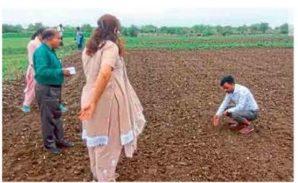 वर्धेत निकृष्ट सोयाबीन बियाण्यांबाबत ३०५ तक्रारी वर्धेत निकृष्ट सोयाबीन बियाण्यांबाबत ३०५ तक्रारी