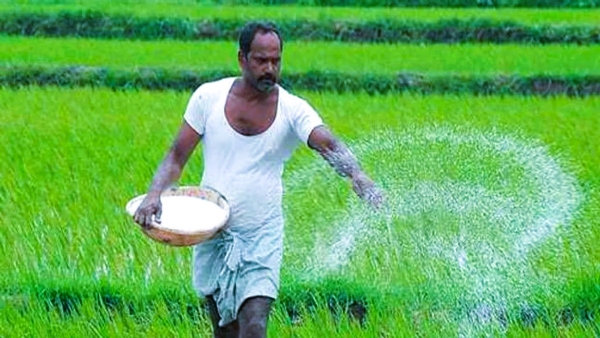 संग्रहित फोटो संग्रहित फोटो