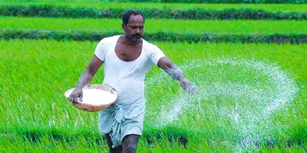 राष्ट्रीय गुंतवणूक धोरणाला मंजुरी; 8 ते 9 नवीन गॅस आधारित युरिया प्रकल्प उभारण्याची योजना
