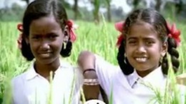 मेळघाटातील शाळांमध्ये शिक्षकांची कमतरता अशैक्षणिक कामांच्या ताणाने शिक्षणावर परिणाम मेळघाटातील शाळांमध्ये शिक्षकांची कमतरता अशैक्षणिक कामांच्या ताणाने शिक्षणावर परिणाम