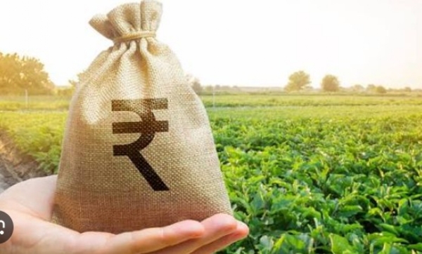 सहकारी बँकांची आघाडी, खाजगी बँका माघारल्या सहकारी बँकांची आघाडी, खाजगी बँका माघारल्या