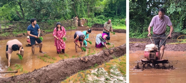 भातशेतीची कामे करताना माजी आमदार बाळ माने आणि कुटुंबीय भातशेतीची कामे करताना माजी आमदार बाळ माने आणि कुटुंबीय