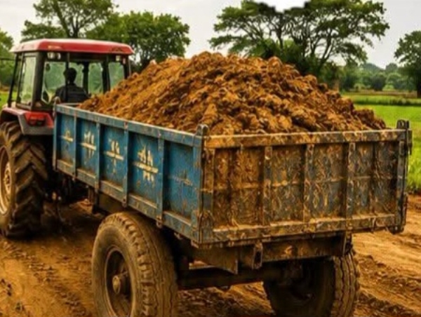 गौण खनिज गौण खनिज