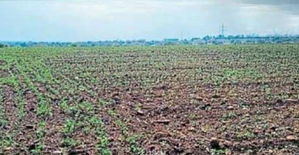 पावसाची प्रतीक्षा पावसाची प्रतीक्षा