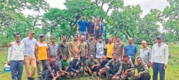 भय संपले! वाघीण २४ तासांत जेरबंद वनविभागाची माेहीम फत्ते : भय संपले! वाघीण २४ तासांत जेरबंद वनविभागाची माेहीम फत्ते :