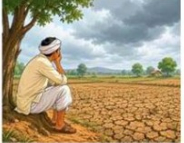जिल्ह्यात कोरड्या दुष्काळाचे सावट खरीप पिके पावसाच्या प्रतीक्षेत; दहा दिवसांपासून पावसाचा खंड जिल्ह्यात कोरड्या दुष्काळाचे सावट खरीप पिके पावसाच्या प्रतीक्षेत; दहा दिवसांपासून पावसाचा खंड