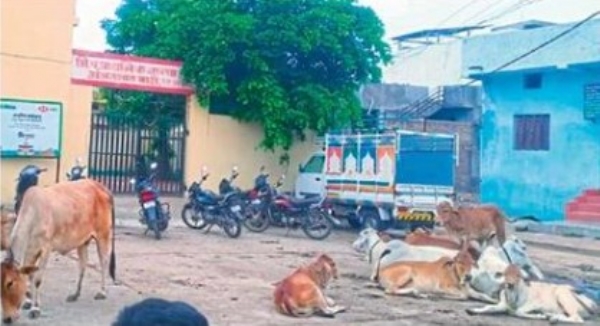 विद्यार्थिनींच्या सुरक्षिततेचा प्रश्न ऐरणीवर, पालक संतप्त विद्यार्थिनींच्या सुरक्षिततेचा प्रश्न ऐरणीवर, पालक संतप्त
