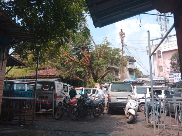 Remove unauthorized taxi parking in front of the chicken-mutton market; memorandum submitted to the administration. Remove unauthorized taxi parking in front of the chicken-mutton market; memorandum submitted to the administration.