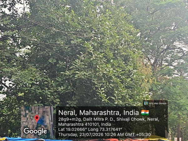 Consequences of failure to prune branches on time; power supply disrupted in Neral for 24 hours.