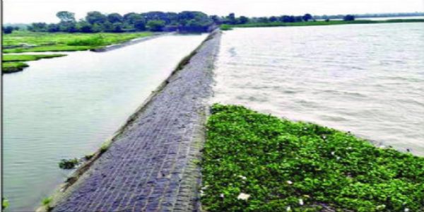 यवतमाळ जिल्ह्यात पावसाची संततधार 90 टक्के पेरण्या आटोपल्या