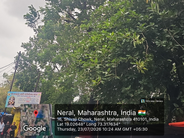 Consequences of failure to prune branches on time; power supply disrupted in Neral for 24 hours.