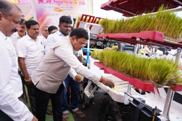 धान