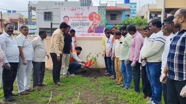 Tree plantation and Shramdaan