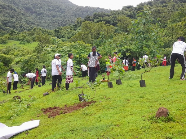 बल्लाळ गणेश देवस्थानच्या परिसरात वृक्षारोपण बल्लाळ गणेश देवस्थानच्या परिसरात वृक्षारोपण
