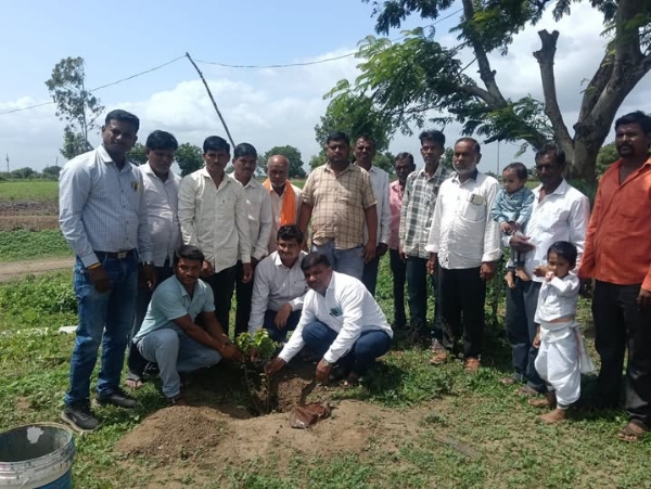 आषाढी एकादशीनिमित्त कौसडी ग्रामपंचायतीकडून वृक्षारोपण; बालगोपालांची दिंडी उत्साहात