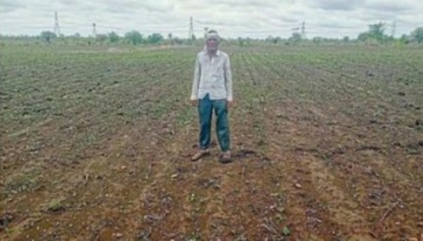 सोयाबीन बियाणे उगवलेच नाही शेतकर्!यांची कृषी विभागाकडे तक्रार; भरपाई देण्याची मागणी सोयाबीन बियाणे उगवलेच नाही शेतकर्!यांची कृषी विभागाकडे तक्रार; भरपाई देण्याची मागणी