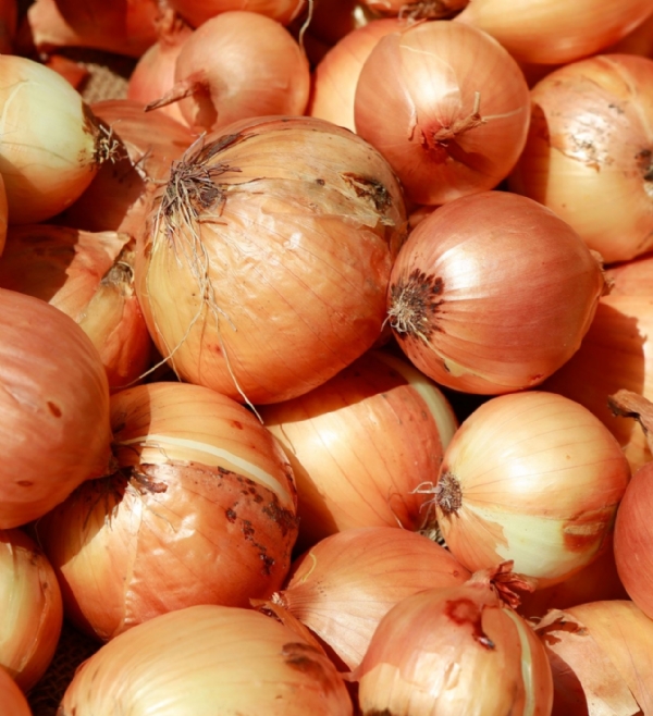Onion Onion