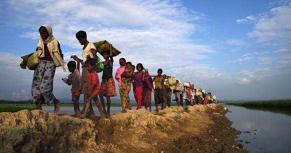 Myanmar Bangladesh Border War like situation Rohin