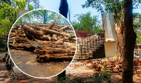 Unauthorized-deforestation-con