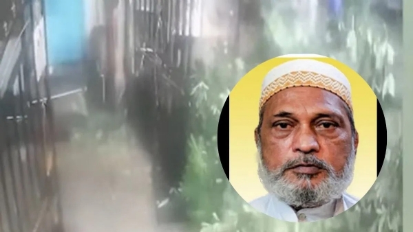 Kurla Elderly Man Dies Tree Collapses MNS Stages Protest Site Kurla Elderly Man Dies Tree Collapses MNS Stages Protest Site