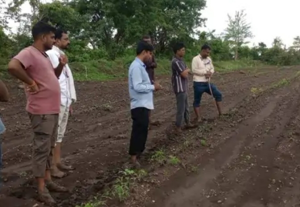 बियाण्यांच्या तक्रारीचा पाऊस; उगवण फसल्याने दुबारचे संकट:नेर तालुक्यामधून बाेगस कंपन्यांविरुद्ध सर्वाधिक तक्रारी