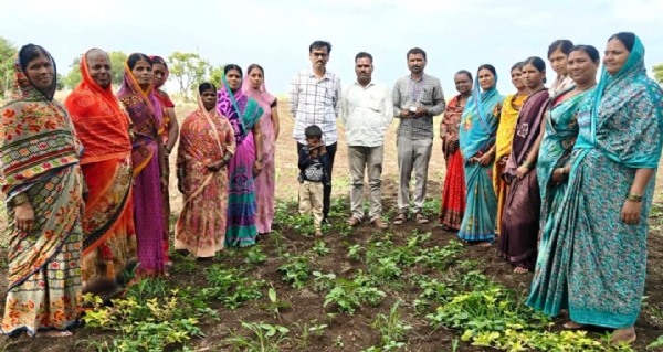 सत्यमेव जयते फार्मर कप सत्यमेव जयते फार्मर कप