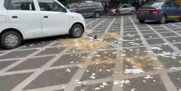 सातबारा प्रती फाडल्या