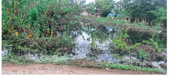 साचलेल्या पाण्याने आरोग्य धोक्यात साचलेल्या पाण्याने आरोग्य धोक्यात