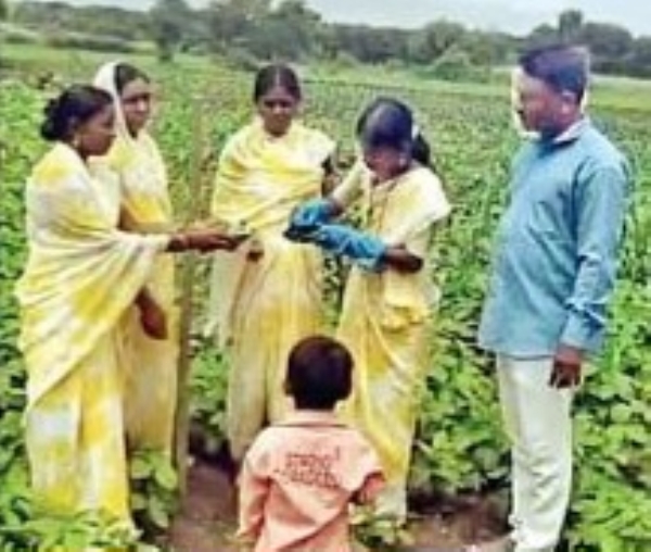 गटशेतीचा उपक्रम गटशेतीचा उपक्रम