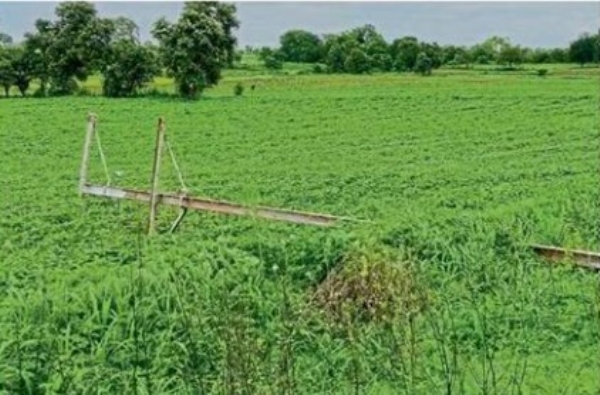 नव्याने उभे केलेले विजेचे खांब पुन्हा कोसळले