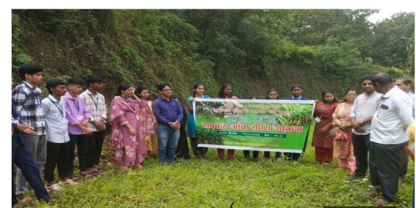 रत्नागिरी : रायवळ आंबा रोपण ग्रुपच्या वतीने रायवळ आंब्याची लागवड