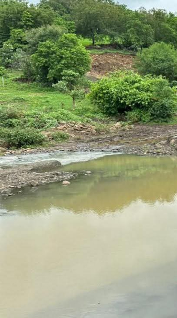 डोंगरगाव तलाव