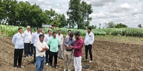 ई-पीक पाहणीसाठी नांदेड जिल्हाधिकाऱ्यांची नाळेश्वर व लिंबगाव मंडळातील शिवारात भेट